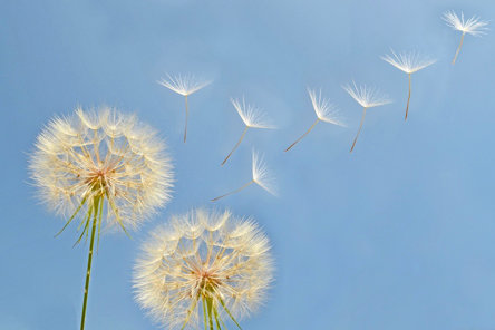 What is Hypnotherapy?